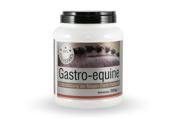 GVS EQUISTARS®, Gastro-equine, effektive Unterstützung von Magen & Darm, Pferd, 2.000 g