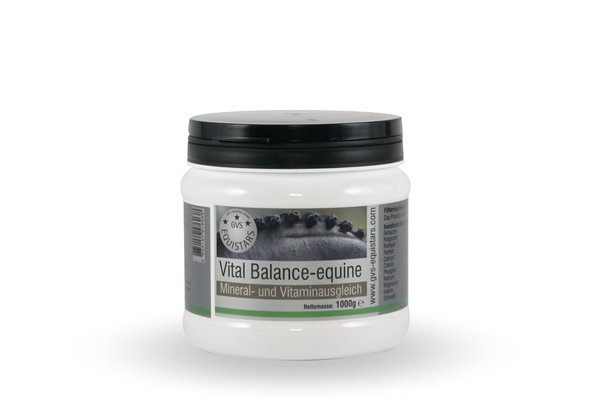 GVS EQUISTARS® Vital Balance-equine, Vitamin- & Mineralstoffversorgung, B-Vitamine, Pferd, 1.000 g