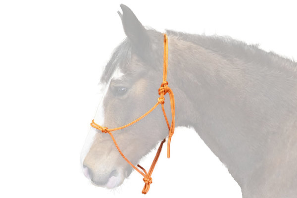 BROCKAMP Knotenhalfter, hochwertiges Horse-Man-Halfter in Profi-Trainerqualität, 6 mm Seilstärke